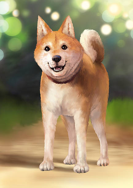 Shiba Inu - ilustração de arte em vetor