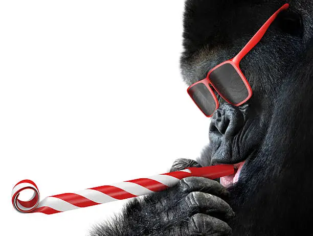 Big happy gorilla wearing cool sunglasses and blowing a striped noisemaker horn for a party.