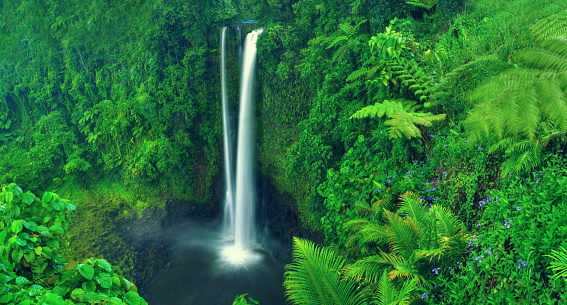 Waterfall Nature Scenics Waterfall Forest Concept
