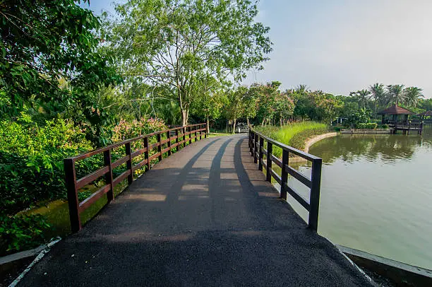 Photo of Road way cyclists in the garden,Thailand