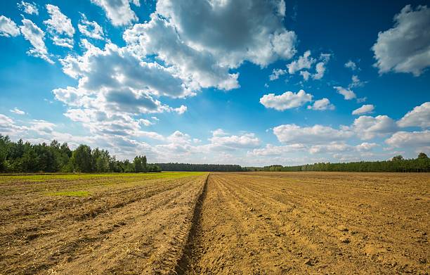 istock Beautiful plowed field under cloudy sky. 489671526