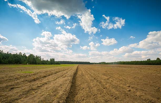 istock Beautiful plowed field under cloudy sky. 489671552