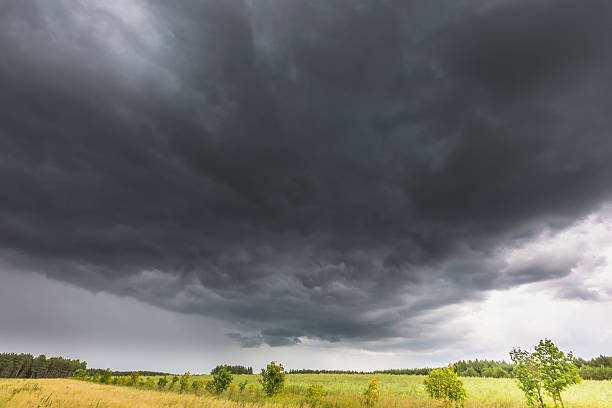 istock Summer landscape with storm sky over rye field 489672720