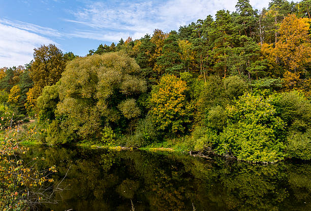 istock Beautiful autumn landscape, dry trees, cloudy sky, tree reflected in 489674058