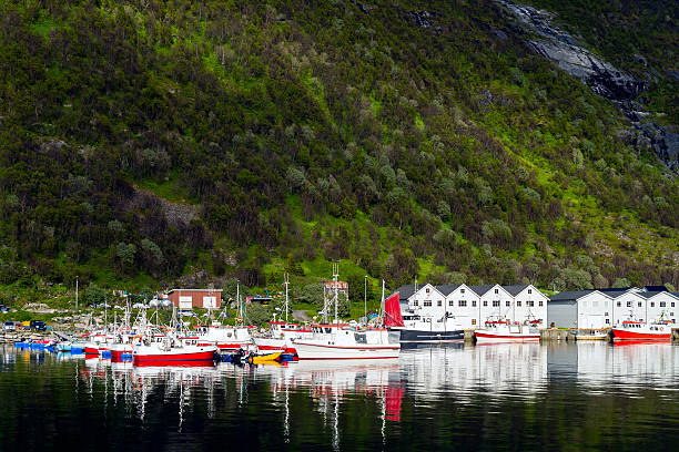 istock Husoy, Norge, rocks, coast, harbor, boats, ships 489687068