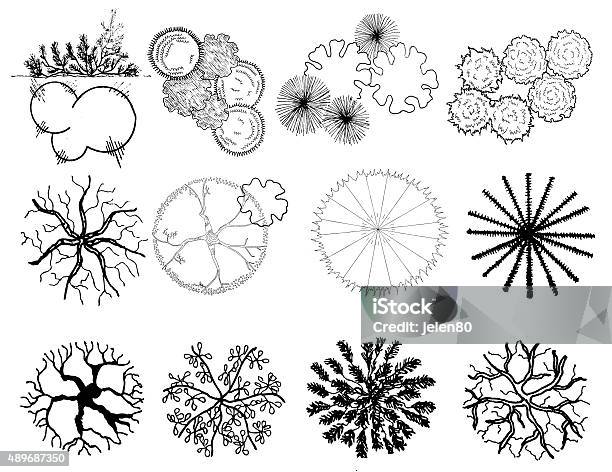 Set Of Treetop Symbols For Architectural Or Landscape Design Stock Illustration - Download Image Now