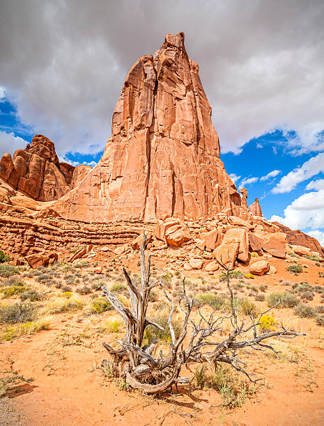 istock Nature background, Arches National Park, Utah, USA. 489689146