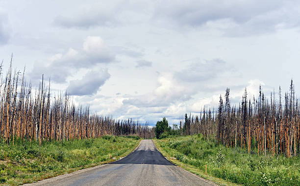 istock Cassier Highway in a lonely section of Canada 489691716