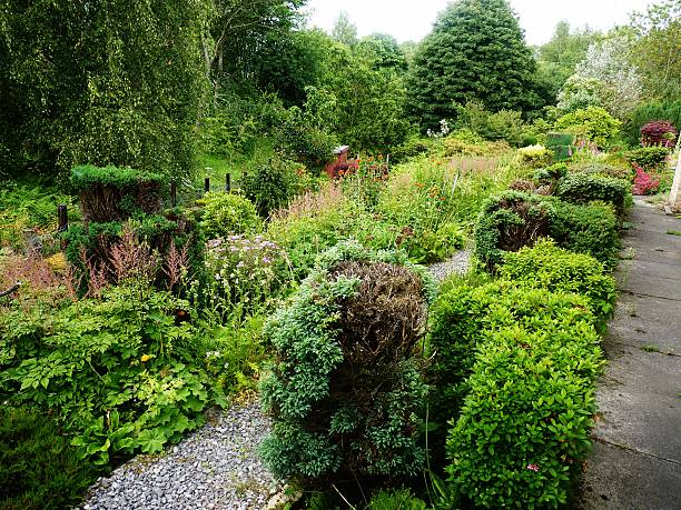 istock garden bushes shrubs evergreen path trees 489692292