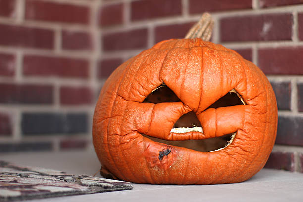 1,300+ Rotten Pumpkin Stock Photos, Pictures & Royalty-Free Images - iStock