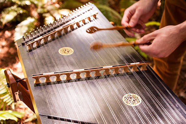 gra dulcimer - dulcimer zdjęcia i obrazy z banku zdjęć