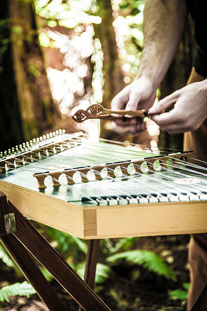 gra dulcimer - playing an instrument vertical blurred motion outdoors zdjęcia i obrazy z banku zdjęć