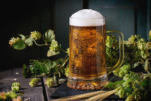 istock Mug of lager beer 489694218