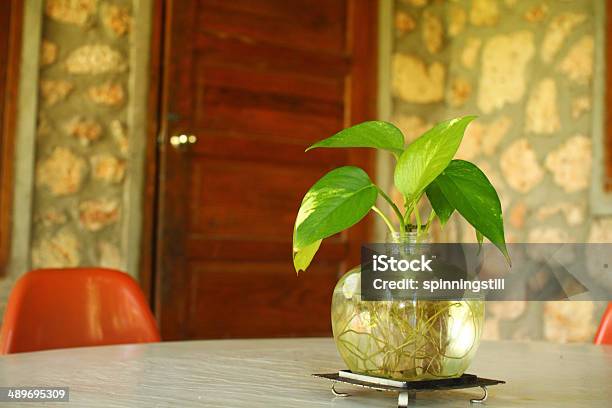 Plant Stock Photo - Download Image Now - Charity and Relief Work, Consoling, Forgiveness