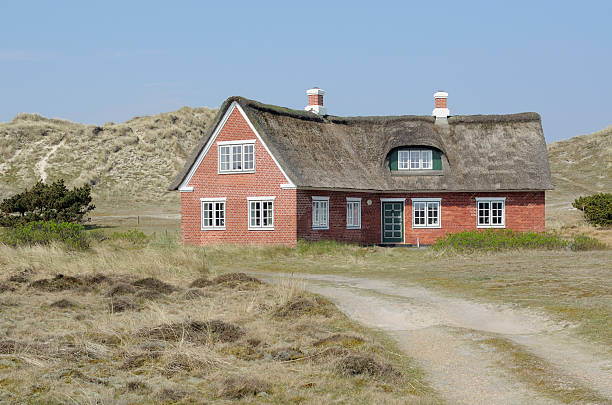 típica dinamarquês privat casa nas dunas - denmark house villa detached house - fotografias e filmes do acervo