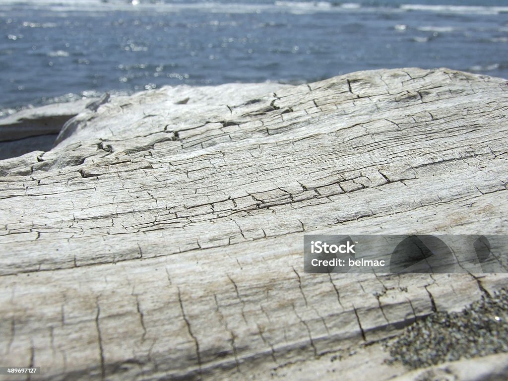 Driftwood on the beach Beach Stock Photo