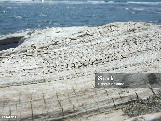 Driftwood On The Beach Stock Photo - Download Image Now - Beach, Blue, Branch - Plant Part