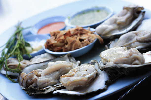 Oyster stock photo