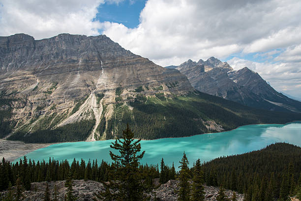 istock Peyto Lake, Banff National Park. 489697482