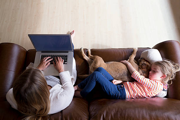 frau mit laptop während tochter und hund erholsamen schlaf - people business dog owner stock-fotos und bilder