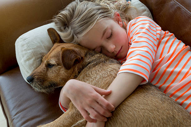 jovem menina e seu cão cuddling em casa - dog tranquil scene pets animals and pets imagens e fotografias de stock