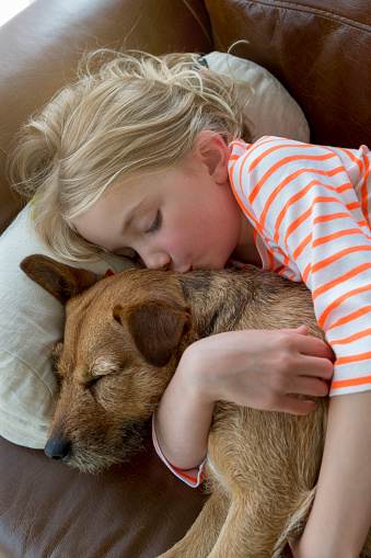 Young girl cuddling her pet dog on a sofa at home.