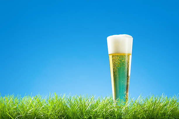 Cool Glass of Beer in Grass with Blue Sky