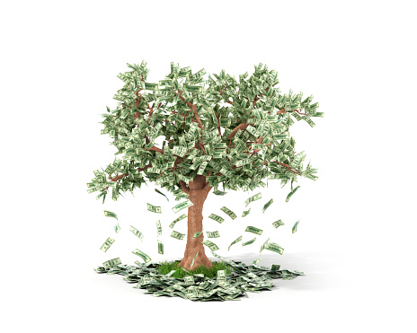 Money tree with hundred dollar bills growing on it and lying on white grownd.