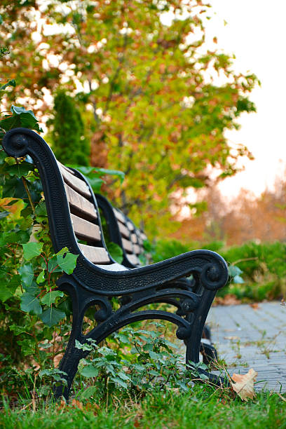 istock Classic benches in city park in front of trees 489700998