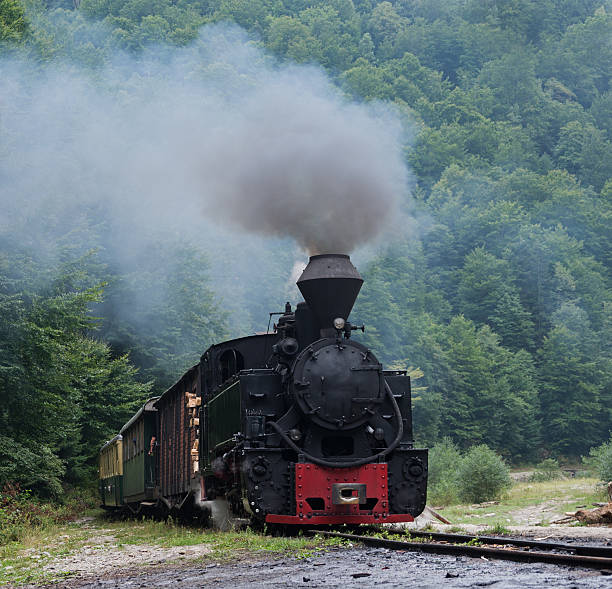istock Mocanita wood-burning locomotive 489701068