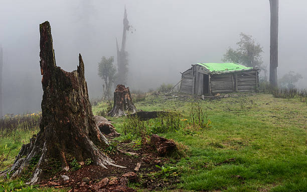 brokpa 木製の小屋で覆った、ミスト、dirang アルナーチャルプラデシュ、インドます。 - mountain himalayas india cabin ストックフォトと画像