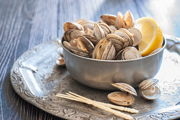 Fresh Steamed Clams stock photo