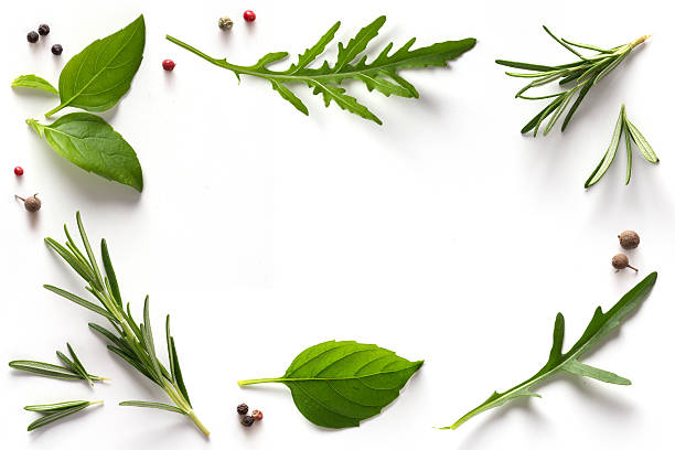 istock art Spices and herbs. Variety of spices and mediterranean herbs. 489727784