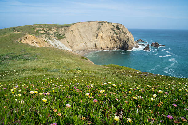 ポイントレイズ国立海岸にカリフォルニア州 - point reyes national seashore northern california beach california ストックフォトと画像