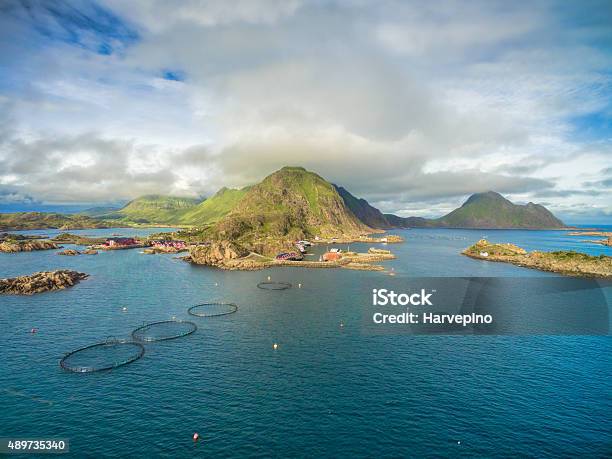 Fishing Village On Lofoten Stock Photo - Download Image Now - Norway, Aquaculture, Fish Farm