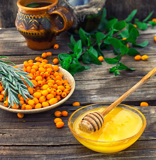 istock Medicinal the decoction of buckthorn berries 489735348