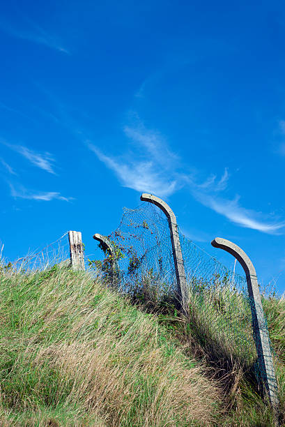 istock fencing on green sand dunes 489735622
