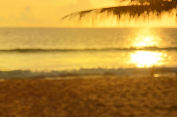 istock Blur palm leaf on tropical sunset beach abstract background. 489735638