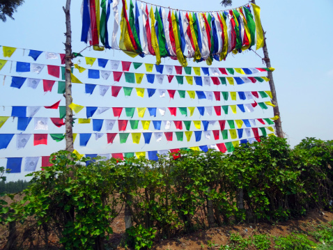 Prayer flags in the garden