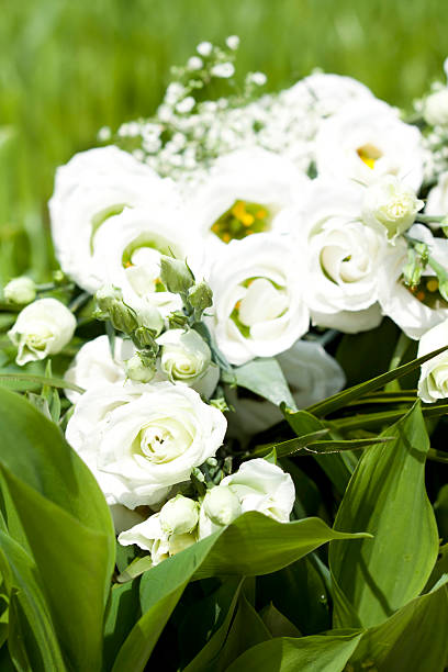Bouquet of white chrysanthemum flowers on a blurred background