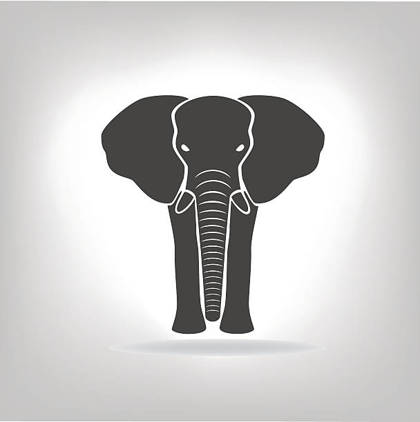 illustrations, cliparts, dessins animés et icônes de emblème d'un éléphant gris - trumpeting