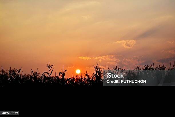 Dusk Sky Stock Photo - Download Image Now - Atmosphere, Awe, Backgrounds