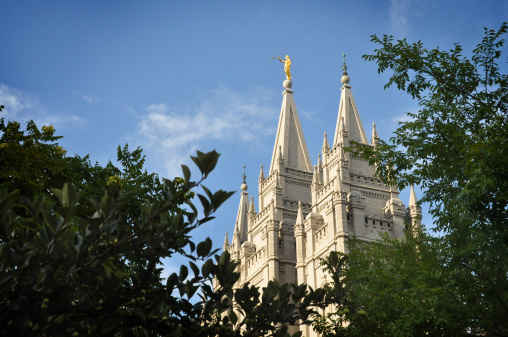 A few of the spires of the Salt Lake City LDS (Church of Jesus Christ of Latter-day Saints) temple.  The Angel Moroni sits atop sounding his trumpet. 