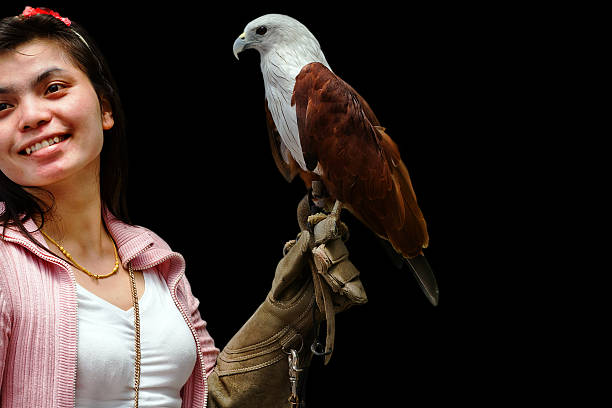 istock hawk sitting on falconer's  woman hand 489752193