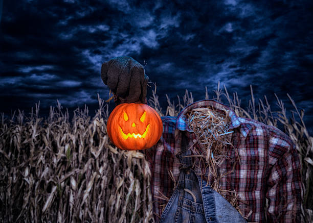 istock Scarecrow holding his head standing in corn field at night 489754406