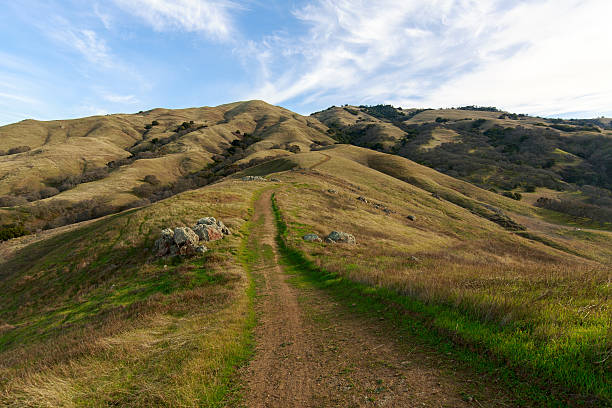 mount diablo cumbre trail - mt diablo state park fotografías e imágenes de stock