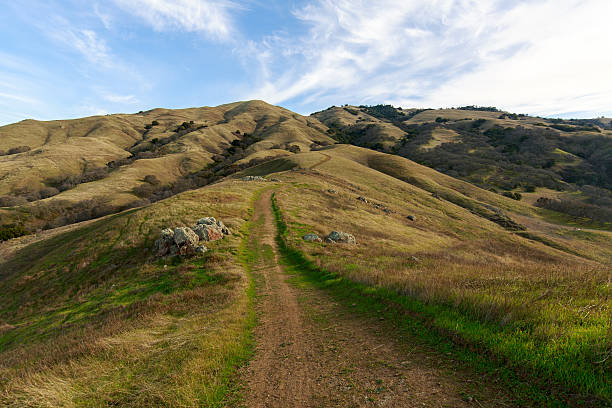 Mount Diablo Summit Trail A trail leading to the summit of Mount Diablo, Mount Diablo State Park, California contra costa county stock pictures, royalty-free photos & images