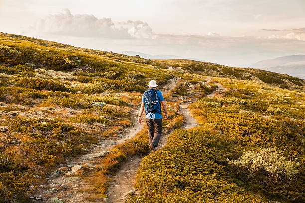istock hiker with backpack traveling in Norway mountains Dovre 489755734
