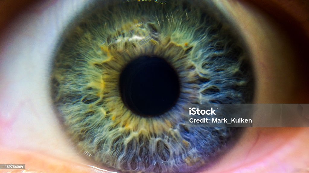Green, blue and purple iris A green. blue and purple iris. A multi colored human eye. Eye Stock Photo