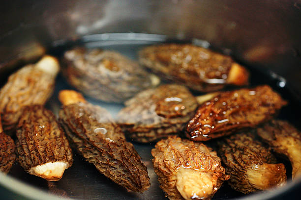 istock Rinsing (soaking) morel mushrooms 489759832